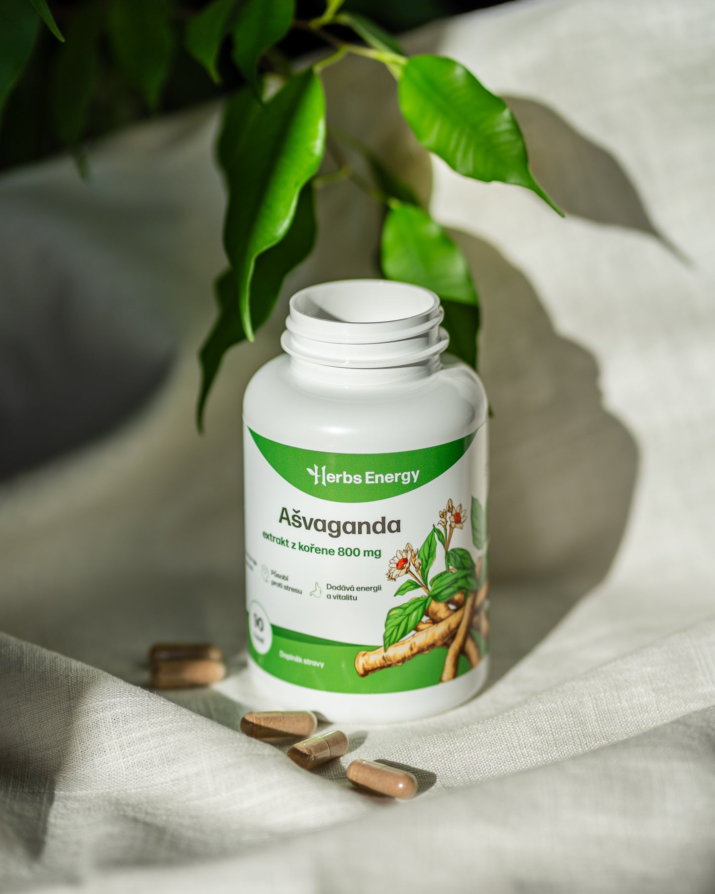 Ašvaganda – extrakt z kořene 800 mg